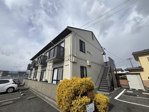 ＤＩＡＳ　Ｌｉｖｅ 0203号-1