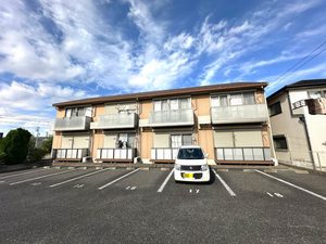 ｍｕｌｂｅｒｒｙ　ｃｏｕｒｔ