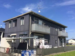 Ｈａｐｐｙ　Ｐｌａｎｅｔ B202号-1