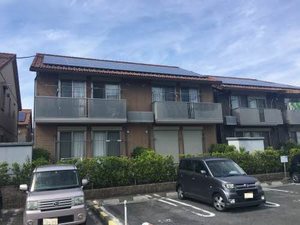 サンフラワー E101号-13