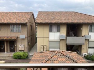 サンフラワー F102号-1