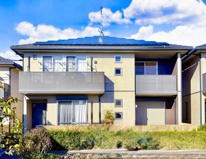 セルリアンコート E02号-1