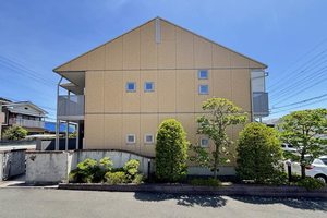 セランディア 0203号-1