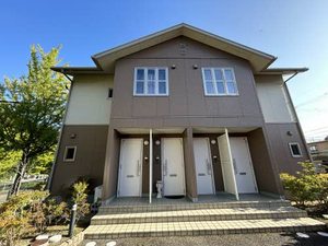 ＳｈａＭａｉｓｏｎ　Ｍｉｃｋｅｙ