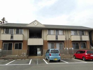 メゾン　フルーリー 0203号-1