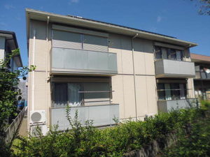 クリサ・ノーヴァ C101号-1