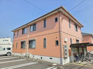 カモミール B101号-15