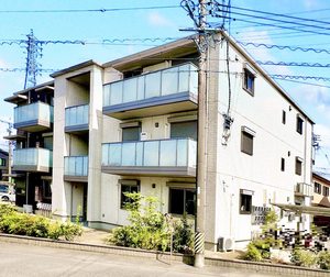 セントポーリアＧ 0105号-1