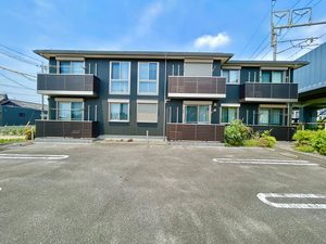 ＣＡＮＩＳ　ＭＩＮＯＲ