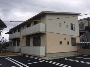 Ｎｅｏ　Ａｍｅｎｉｔｙ