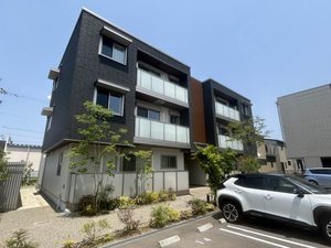 ｓｏｌ（ソル）