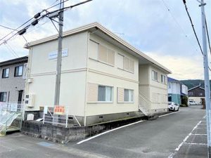 ＰＥＴＥＲ　ＲＡＢＩＴ　ＰＬＡＺＡ C101号-1