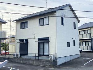 ネクサスウツギ