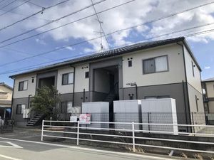 ベルソーナ 0203号-1
