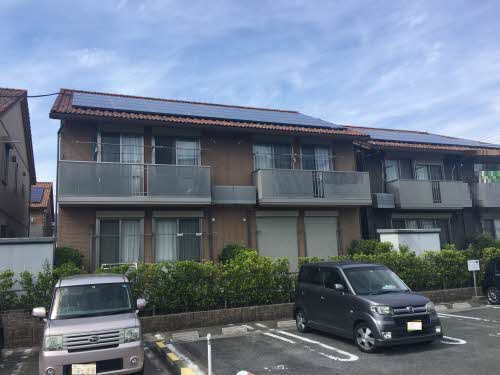 サンフラワー E101号-13