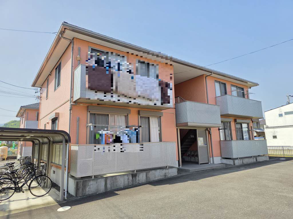 カモミール B102号-1