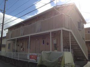 テラス南平台 B201号-1