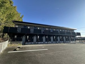 フォーブルスギ 0206号-12