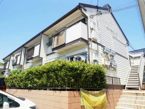 ニューボーン B207号-1