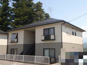 フレグランスホワイトハーベスト B202号-15