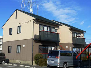 ディアコートイムズ