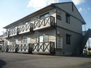 にれの木 0101号-1