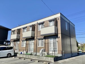 Ｍａｇｎｏｌｉａ C号-1