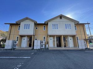 グラシューズＮ