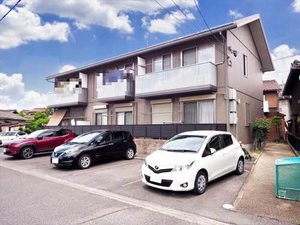 ステラナルオ 0203号-1