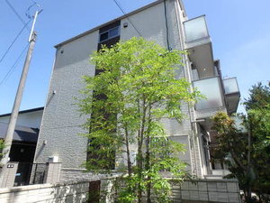 プレミアム・ベレオ 0103号-1