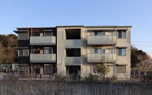 プリムローズ 0205号-1