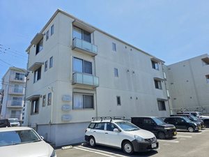 Ｍ．Ｆｌａｔ‐草薙 T202号-15