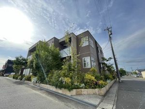 べルチュ 0103号-1