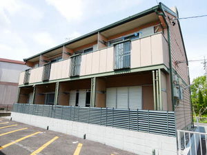 タウニーナイトウ