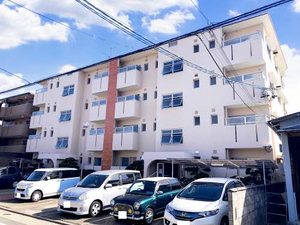 菊園ハイツ 003A号-1