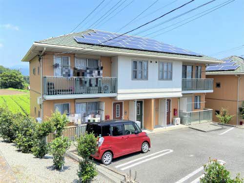 チェリーブラッサム