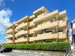 グリーングラス藤