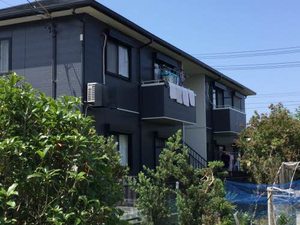 バウム　ハウスフリーデ