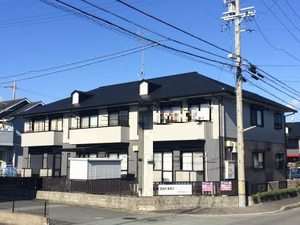 Ｃａｐｒｉｃｅ　Ｓｕｄ