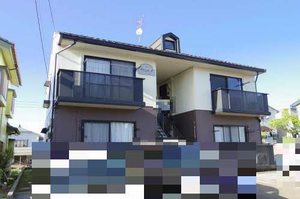 プリムローズ 0101号-1