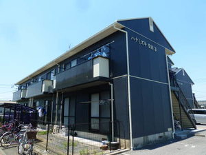 ハナミズキ安田３ M101号-1