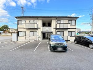 エーデルワイス