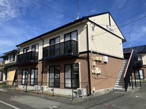 ひまわり B102号-1