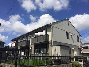 セントポーリア 0202号-1