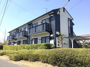 Ｔ．ＴＯＷＮカミール 0102号-1