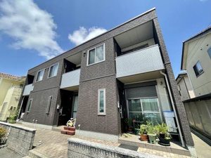 Ｐｏｌａｉｒｅ N3号-15