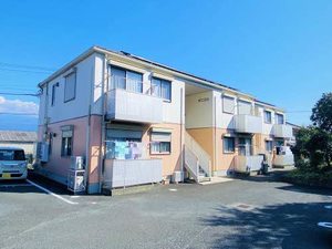 ダニエル 0202号-1