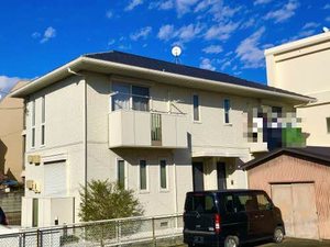 Ｃｈｅｌｓｅａ 0101号-1