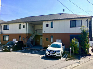 ヴェルドミール