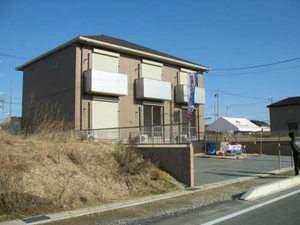 ＢＲＯＷＮＩＥ 0103号-1